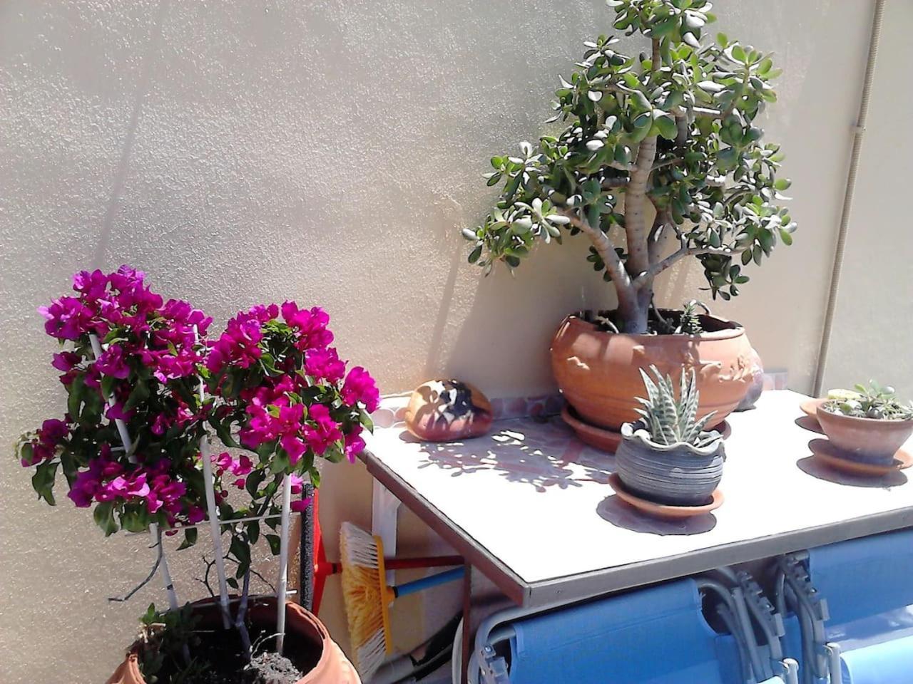 Park House -Beside The Medieval Town Of Rhodes Rhodes City Extérieur photo